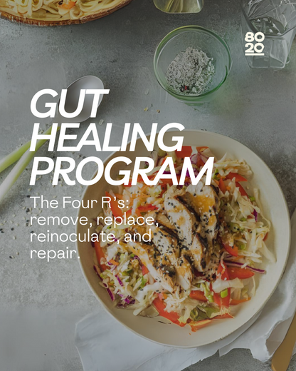 Gut Healing Program: remove, replace, reinoculate, and repair.